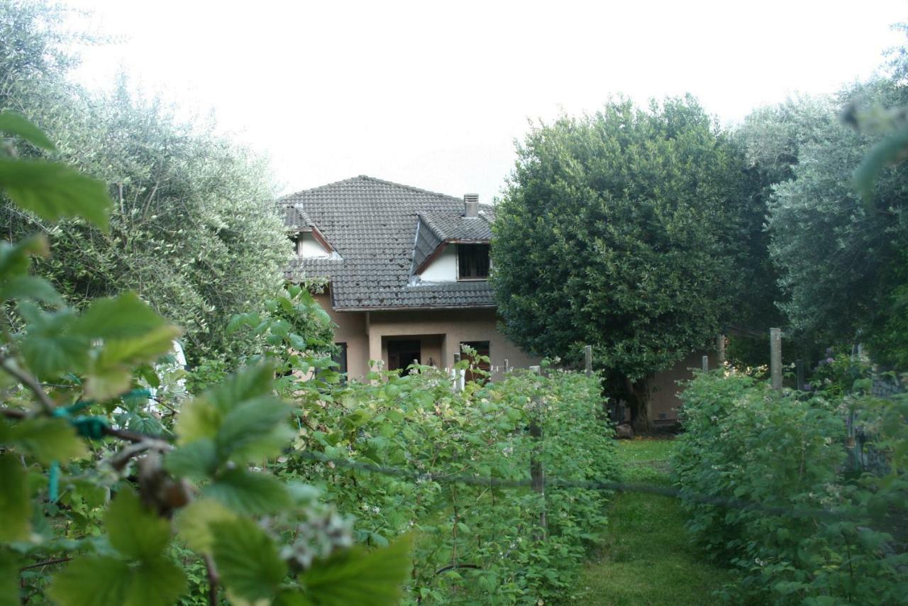 Agriturismo Badalone Домазо Экстерьер фото