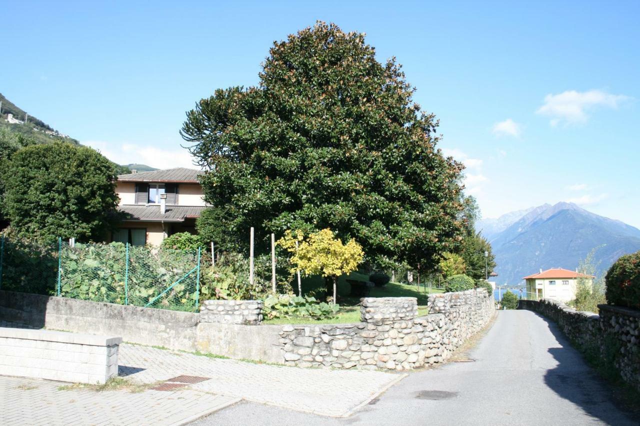 Agriturismo Badalone Домазо Экстерьер фото